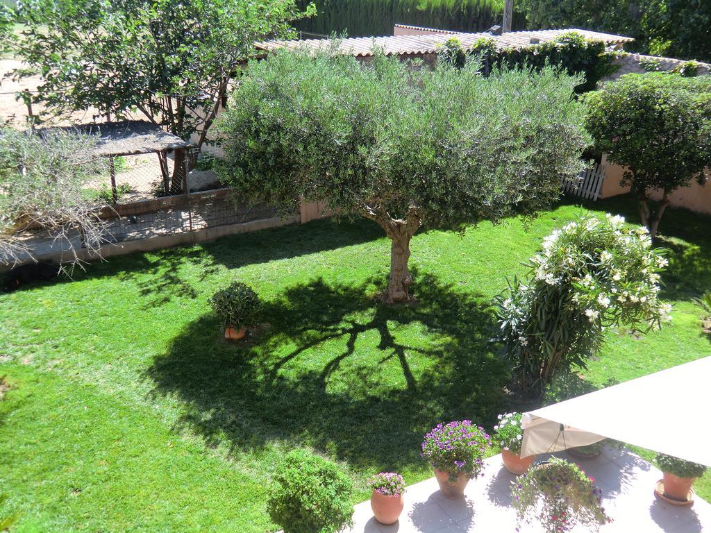 Casa Rural Hipica Mas Paguina L'Estartit Esterno foto