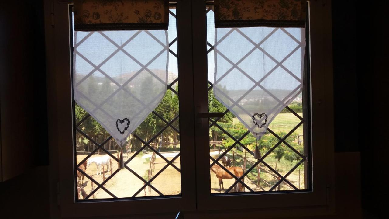 Casa Rural Hipica Mas Paguina L'Estartit Esterno foto