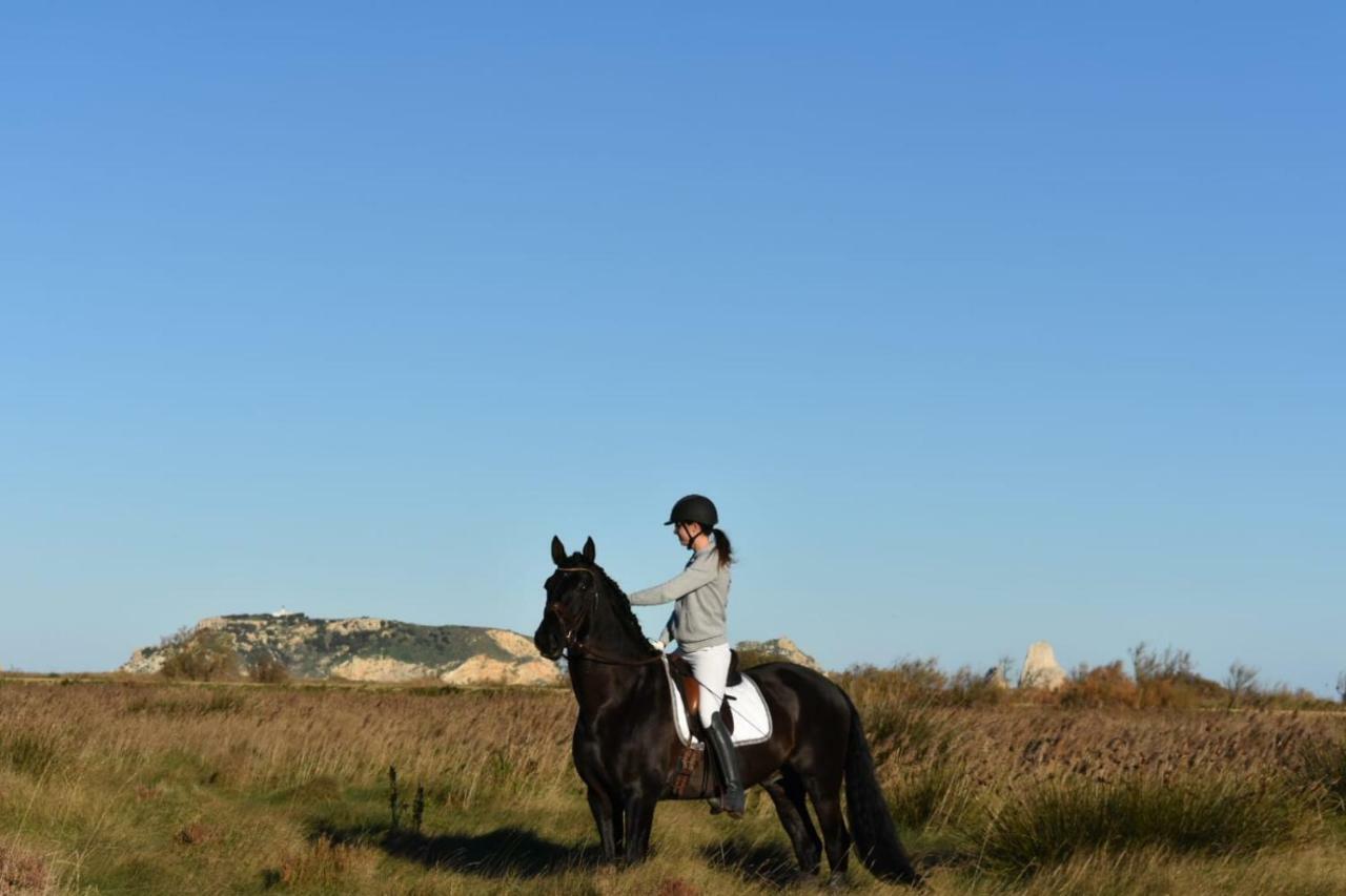 Casa Rural Hipica Mas Paguina L'Estartit Esterno foto