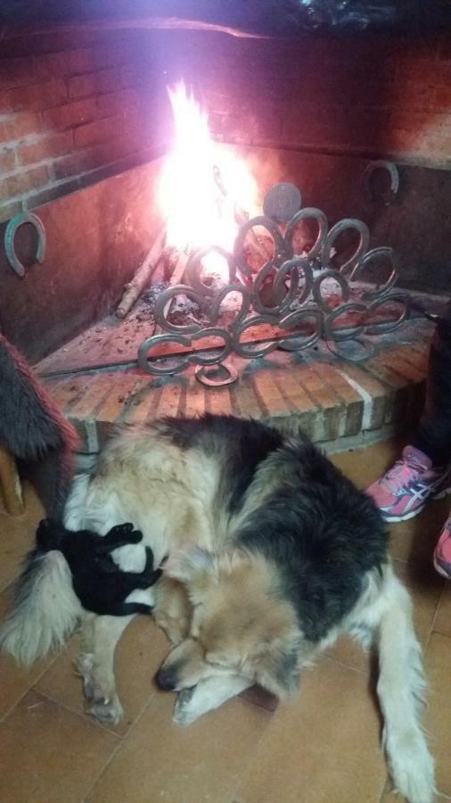 Casa Rural Hipica Mas Paguina L'Estartit Esterno foto